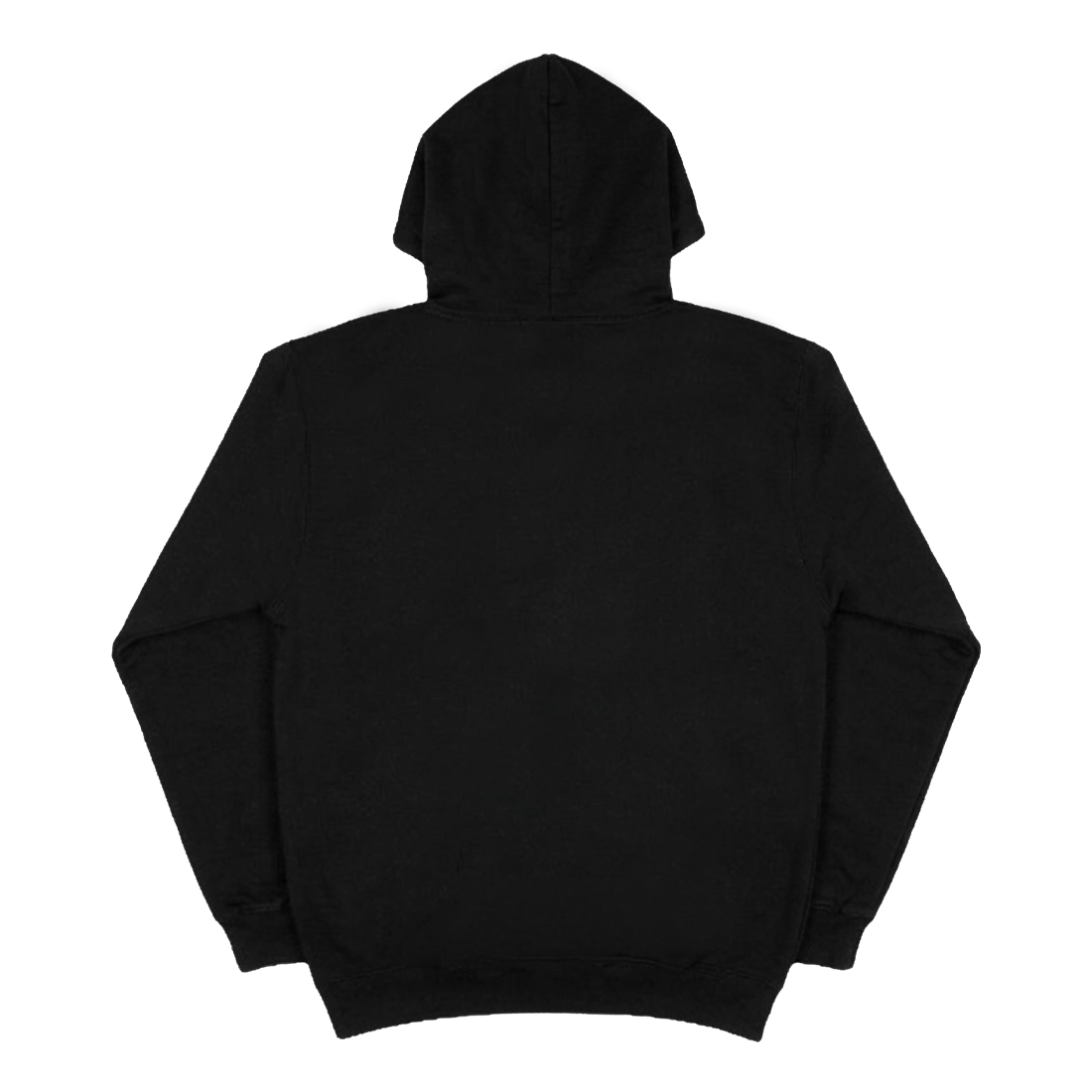 EUPBJP HOODIE