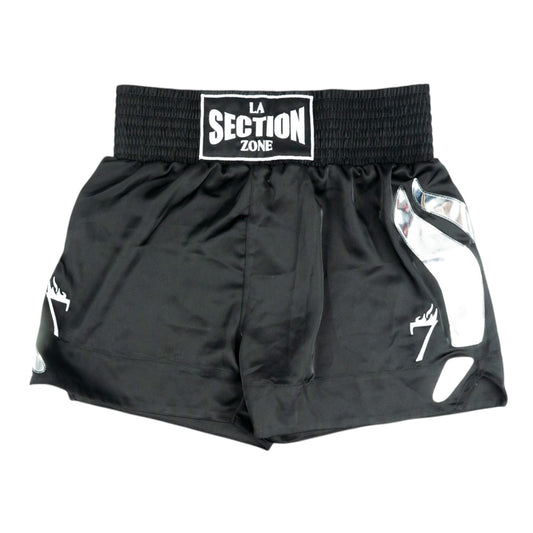 SECTION LA ZONE SILVER SHORTS