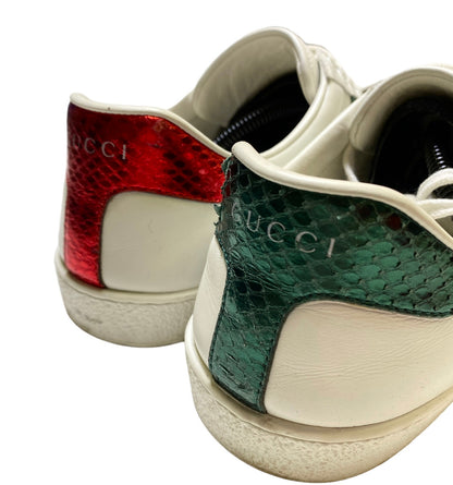 GUCCI BOTY