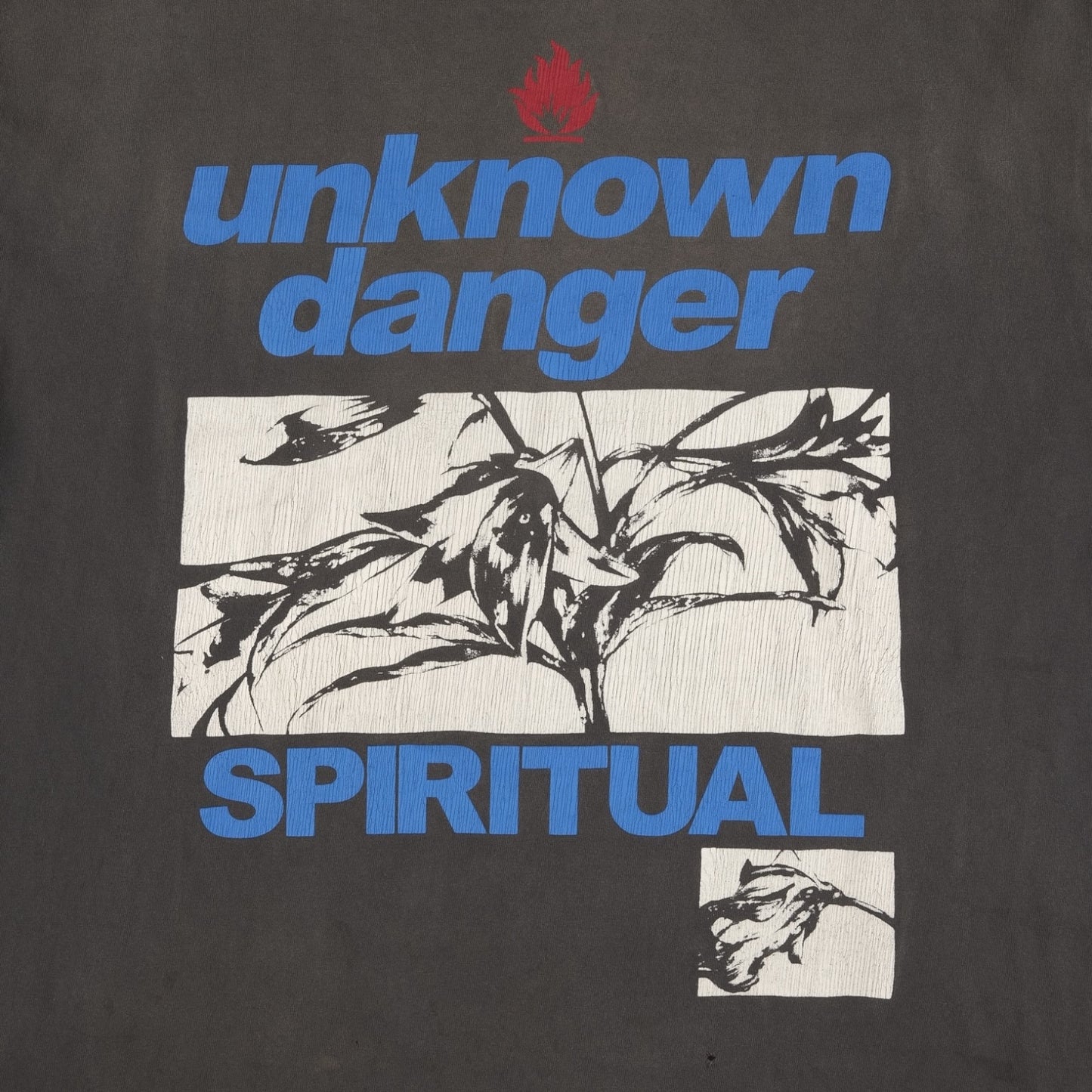 UNKNOWN DANGER LONSGLEEVE